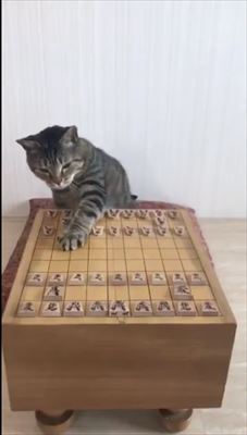 ぶるる編集長