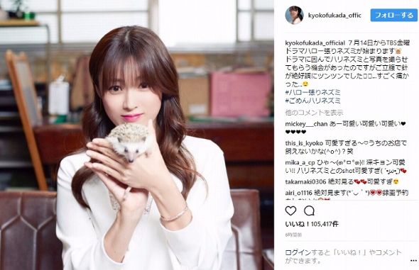 深田恭子　ハリネズミ