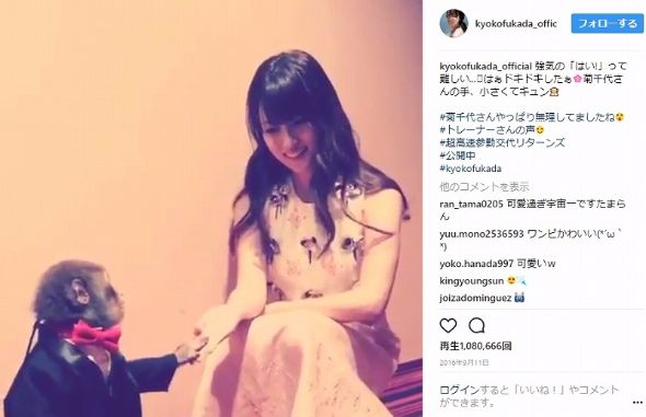 深田恭子　ハリネズミ