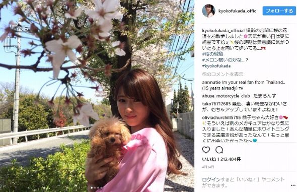 深田恭子　メロンパンナ