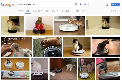 ルンルンクリーニャーD