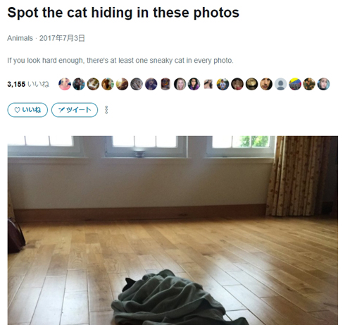 「Spot the cat（猫を見つけろ）」写真まとめ記事