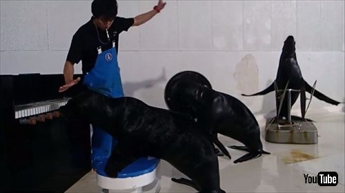 おたる水族館　オタリア