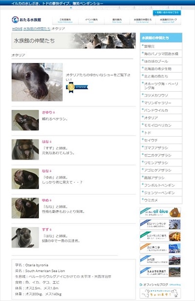 おたる水族館　オタリア