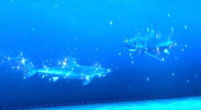 仙台うみの杜水族館