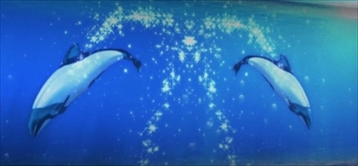 仙台うみの杜水族館