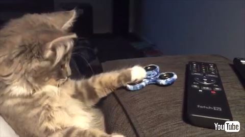 猫 ハンドスピナー