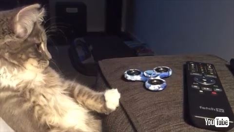 猫 ハンドスピナー