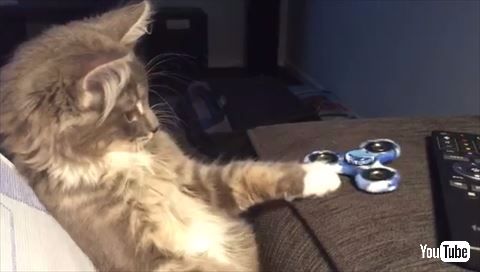 猫 ハンドスピナー