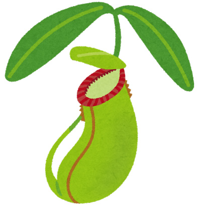 ウツボカズラのイラスト