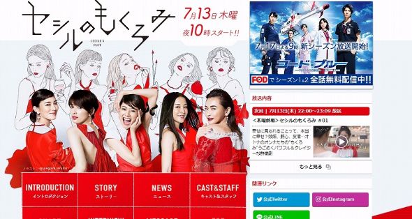 真木よう子　セシルのもくろみ