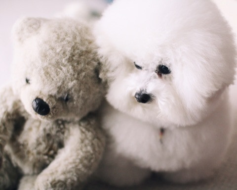 アーニーのおうち