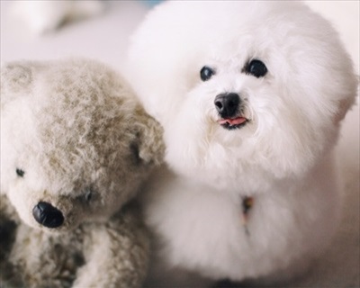 アーニーのおうち