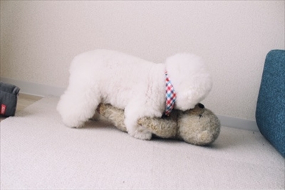 アーニーのおうち