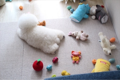 アーニーのおうち