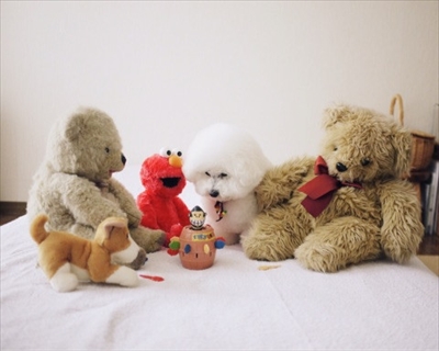 アーニーのおうち