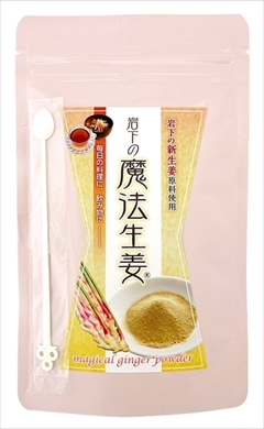 岩下食品ニュージンジャービール