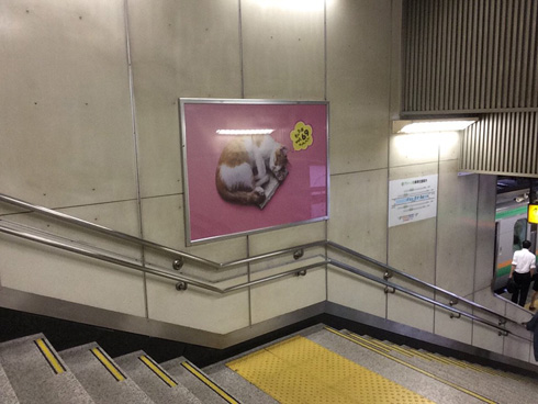 銀魂いらすとや広告