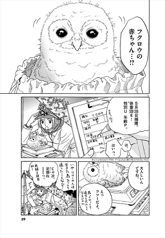 へんなものみっけ！