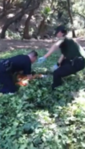 「アタマが抜けないの！」　容器に頭をつまらせた子グマを警察職員らが救助