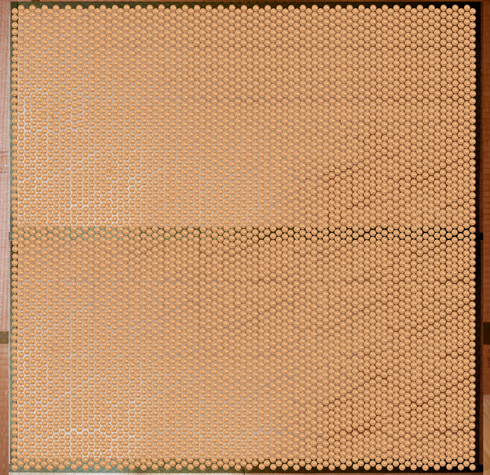 畳に500円玉を敷き詰めた画像