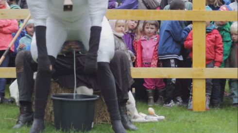 ひつじ 劇団コープス 神奈川芸術劇場