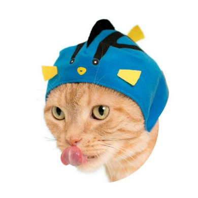 キタンクラブ ねこの水族館 猫 かぶりもの