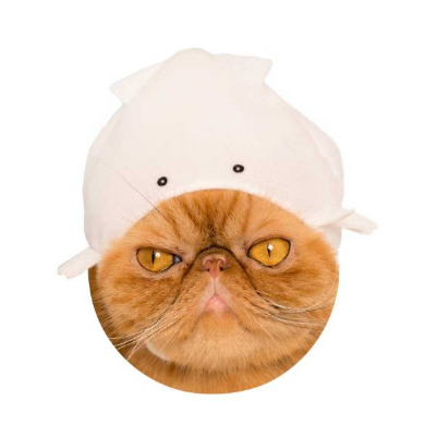 キタンクラブ ねこの水族館 猫 かぶりもの