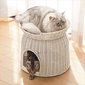 ディノス　ペットフードテーブル