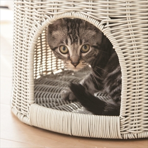 ディノス　ペットフードテーブル