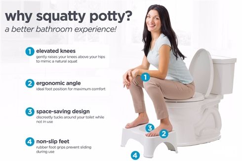 便器を和式風に　アメリカで大ウケなトイレ用アタッチメントが快便効果ありそう