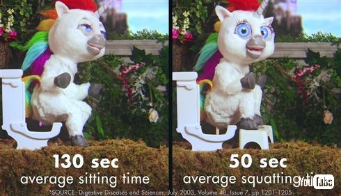 便器を和式風に　アメリカで大ウケなトイレ用アタッチメントが快便効果ありそう