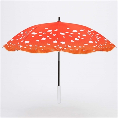 ベニテングタケの傘