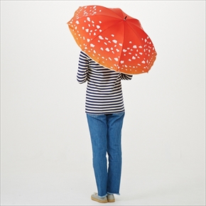 ベニテングタケの傘