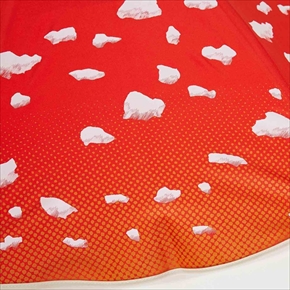 ベニテングタケの傘