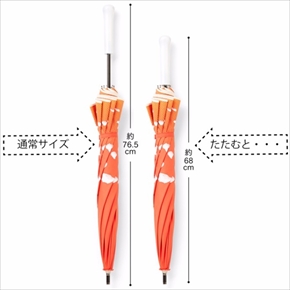 ベニテングタケの傘