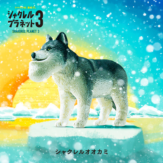 シャクレルオオカミ