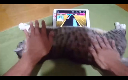 猫で家庭用「チュウニズム」