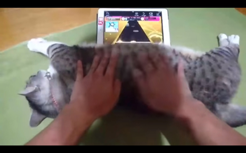 猫で家庭用「チュウニズム」