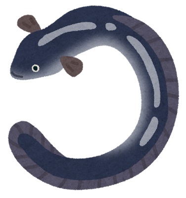 ウナギ