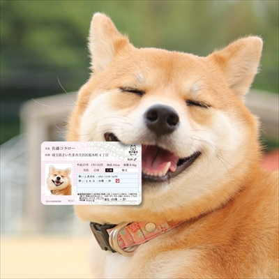 マイワンバーカード