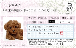 マイワンバーカード