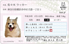 マイワンバーカード