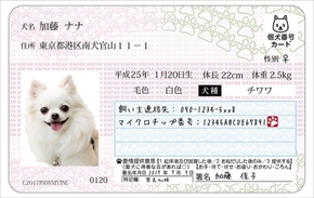 マイワンバーカード