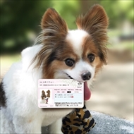 マイワンバーカード