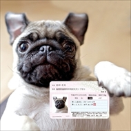 マイワンバーカード