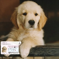 マイワンバーカード