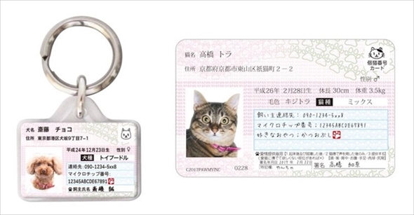 マイワンバーカード