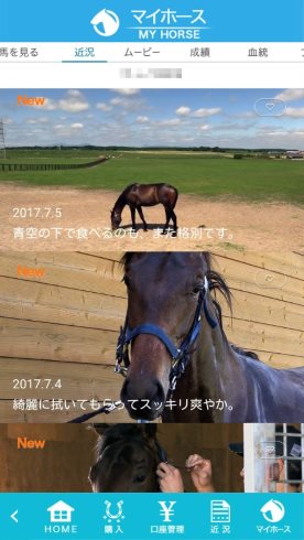 DMM.com証券 バヌーシー 馬