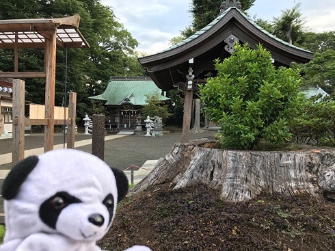 パンダ　宮司　神社　有鹿神社